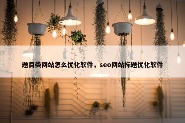 题目类网站怎么优化软件，seo网站标题优化软件