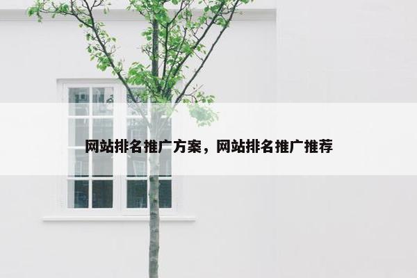 网站排名推广方案，网站排名推广推荐