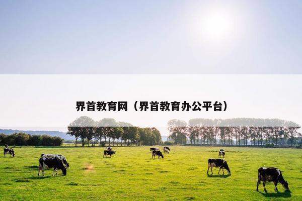 界首教育网（界首教育办公平台）