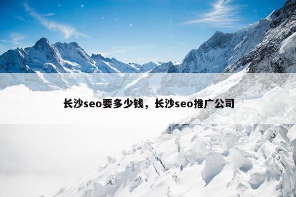 长沙seo要多少钱，长沙seo推广公司