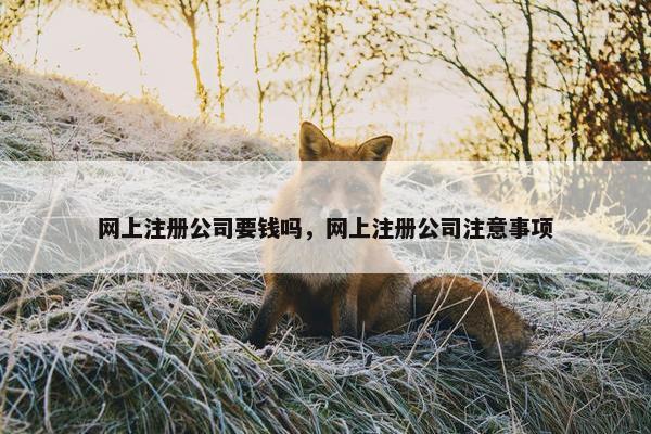 网上注册公司要钱吗，网上注册公司注意事项