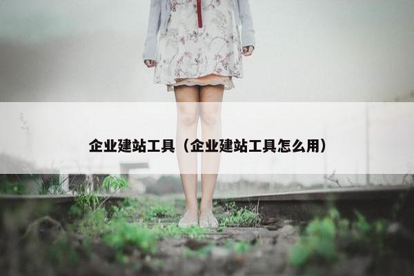 企业建站工具（企业建站工具怎么用）