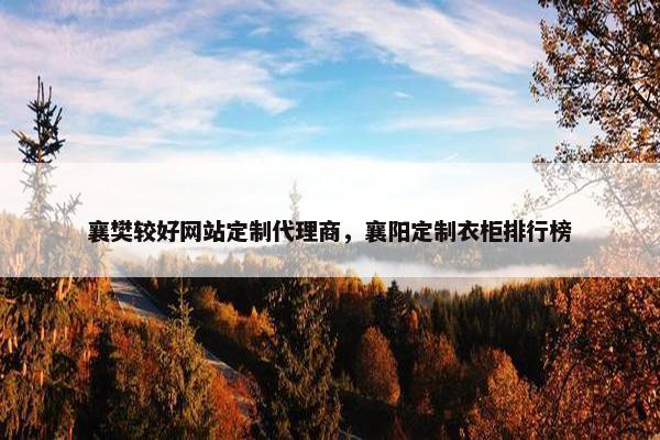 襄樊较好网站定制代理商，襄阳定制衣柜排行榜