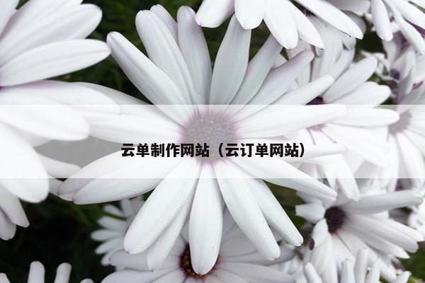云单制作网站（云订单网站）