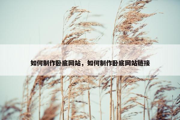 如何制作卧底网站，如何制作卧底网站链接