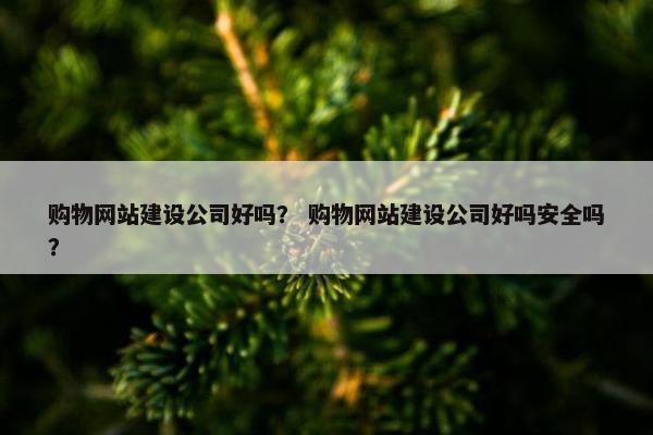 购物网站建设公司好吗？ 购物网站建设公司好吗安全吗？