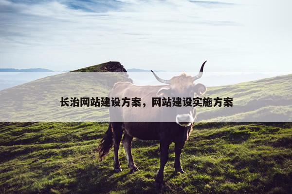 长治网站建设方案，网站建设实施方案
