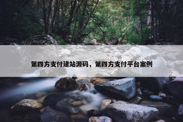 第四方支付建站源码，第四方支付平台案例