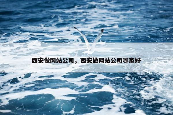 西安做网站公司，西安做网站公司哪家好