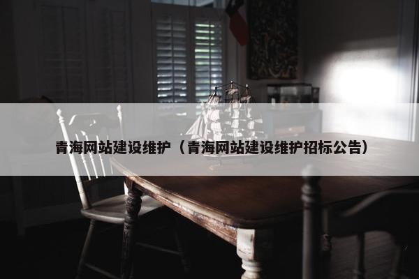 青海网站建设维护（青海网站建设维护招标公告）
