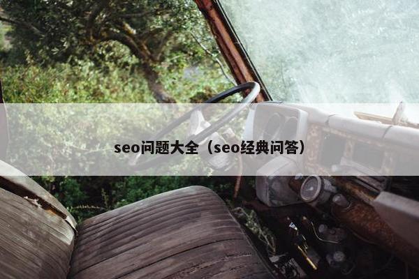 seo问题大全（seo经典问答）