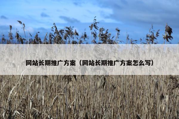网站长期推广方案（网站长期推广方案怎么写）