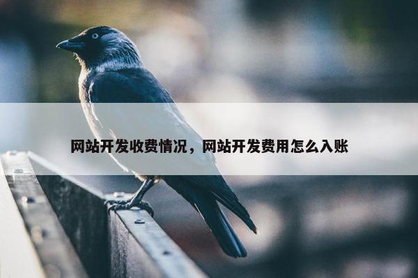 网站开发收费情况，网站开发费用怎么入账