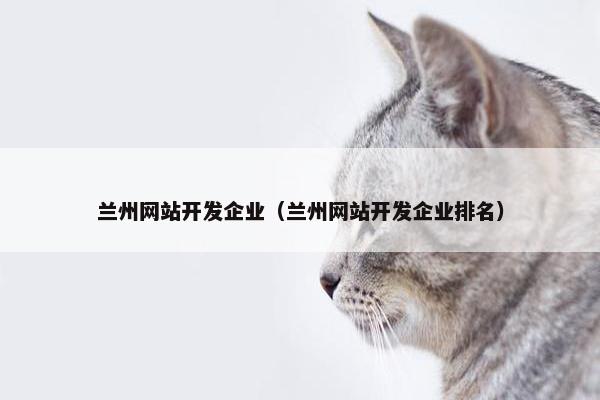 兰州网站开发企业（兰州网站开发企业排名）