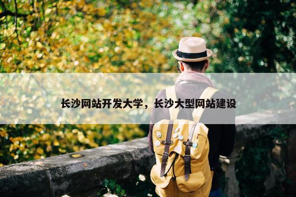 长沙网站开发大学，长沙大型网站建设