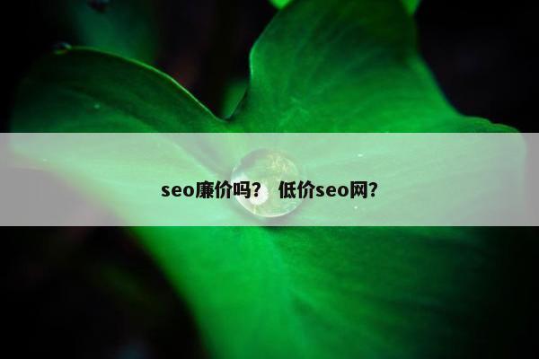 seo廉价吗？ 低价seo网？