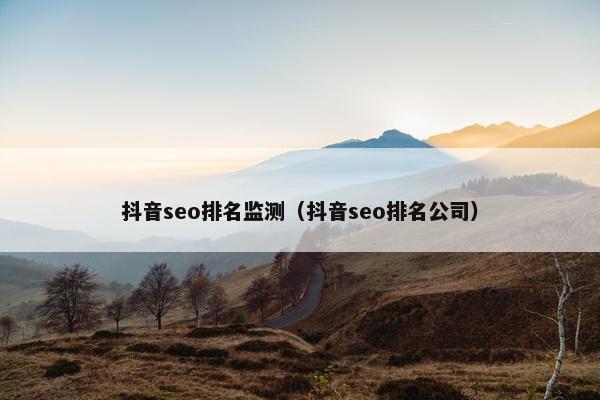 抖音seo排名监测（抖音seo排名公司）