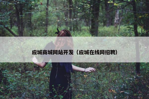 应城商城网站开发（应城在线网招聘）