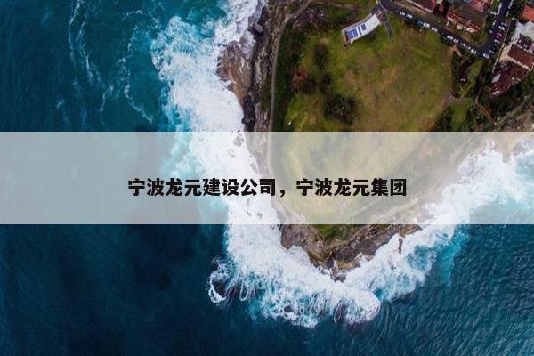 宁波龙元建设公司，宁波龙元集团