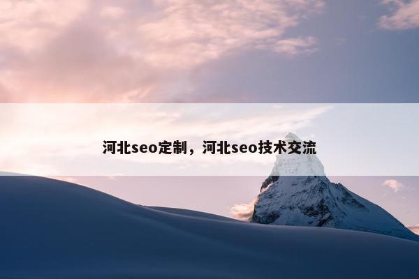 河北seo定制，河北seo技术交流
