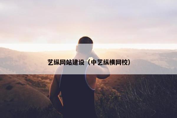 艺纵网站建设（中艺纵横网校）