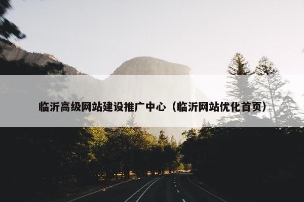 临沂高级网站建设推广中心（临沂网站优化首页）