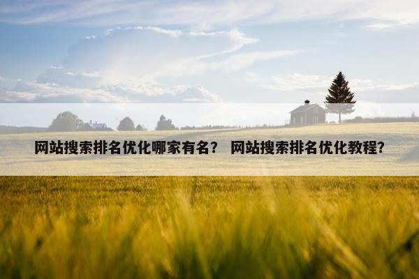 网站搜索排名优化哪家有名？ 网站搜索排名优化教程？