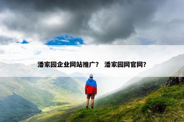 潘家园企业网站推广？ 潘家园网官网？