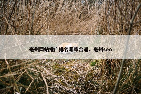 亳州网站推广排名哪家合适，亳州seo