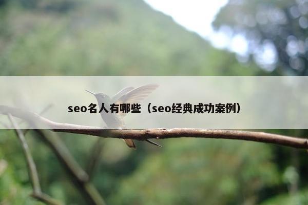 seo名人有哪些（seo经典成功案例）
