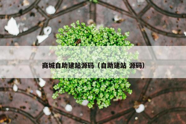 商城自助建站源码（自助建站 源码）