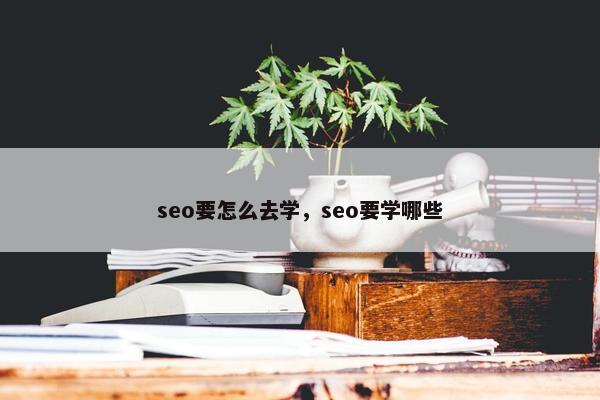 seo要怎么去学，seo要学哪些