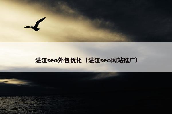 湛江seo外包优化（湛江seo网站推广）