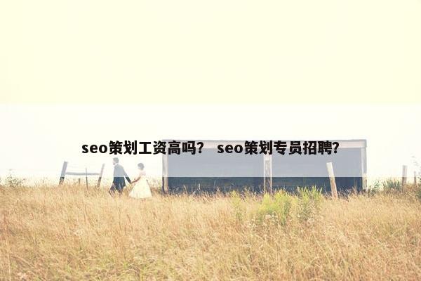 seo策划工资高吗？ seo策划专员招聘？