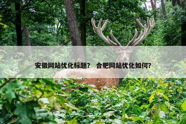 安徽网站优化标题？ 合肥网站优化如何？