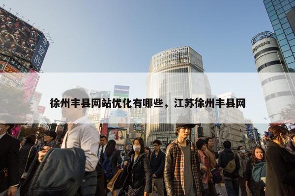 徐州丰县网站优化有哪些，江苏徐州丰县网