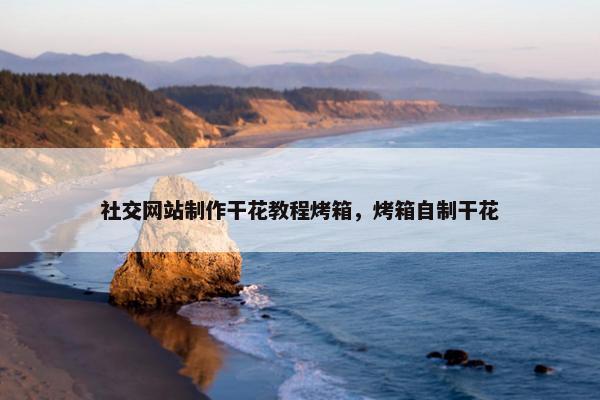 社交网站制作干花教程烤箱，烤箱自制干花