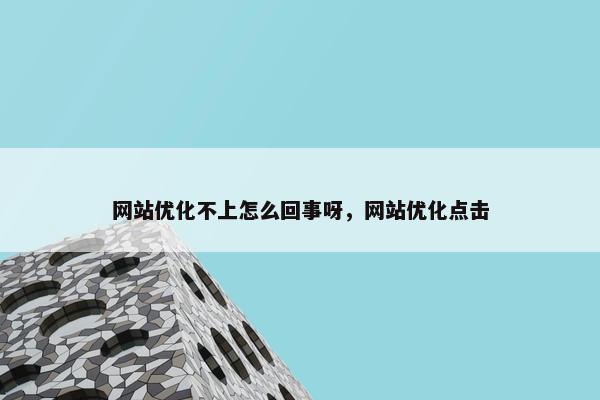 网站优化不上怎么回事呀，网站优化点击