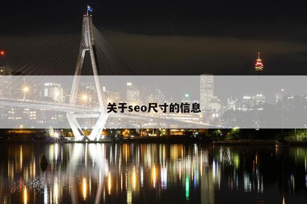 关于seo尺寸的信息