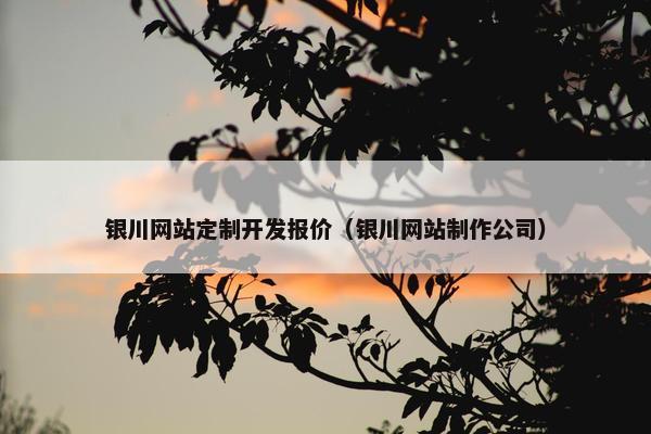 银川网站定制开发报价（银川网站制作公司）