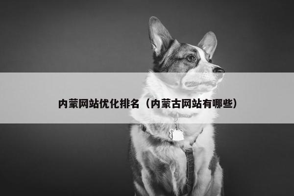 内蒙网站优化排名（内蒙古网站有哪些）