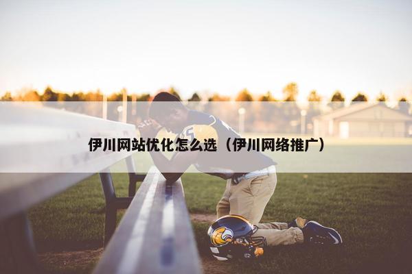 伊川网站优化怎么选（伊川网络推广）