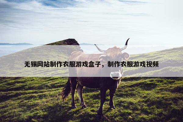 无锡网站制作衣服游戏盒子，制作衣服游戏视频