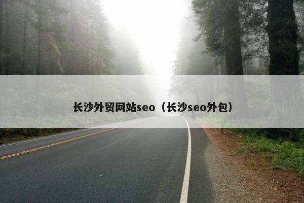长沙外贸网站seo（长沙seo外包）