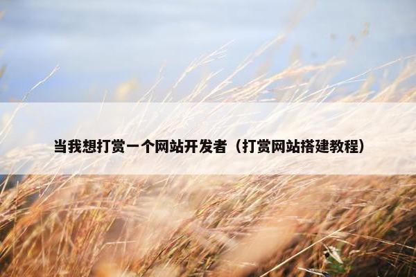 当我想打赏一个网站开发者（打赏网站搭建教程）