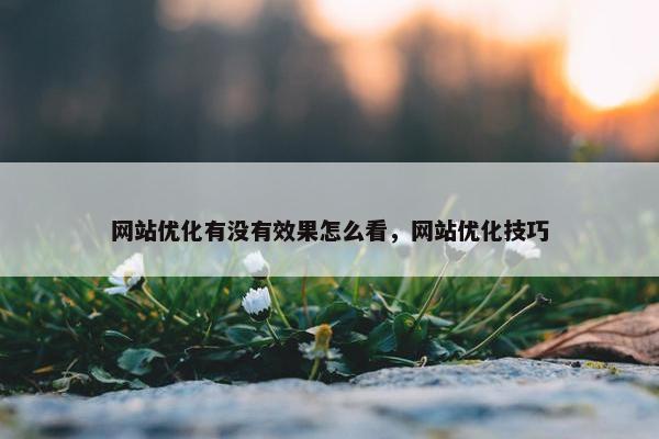 网站优化有没有效果怎么看，网站优化技巧