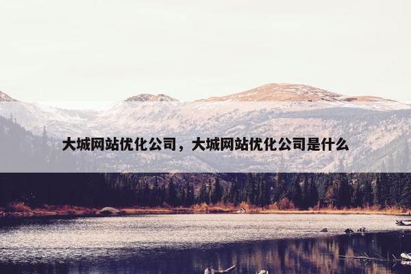 大城网站优化公司，大城网站优化公司是什么