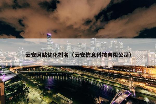 云安网站优化排名（云安信息科技有限公司）
