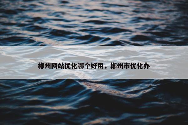 郴州网站优化哪个好用，郴州市优化办