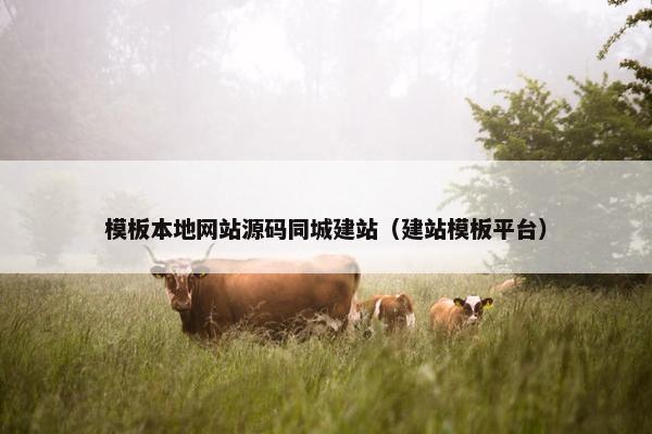 模板本地网站源码同城建站（建站模板平台）